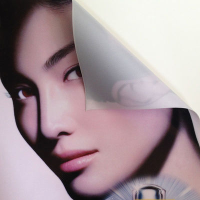 24 Inch Inkjet Printable Vinyl Durable Glossy Inkjet Vinyl Media Roll