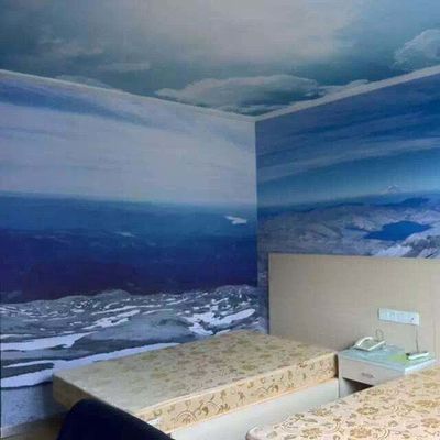 Digital Printing Canvas Backdrop Wall Interior Decoration Oil Canvas