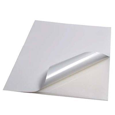 Repositionable Back Self Adhesive PP Paper Sheet Matt White Polypropylene Film