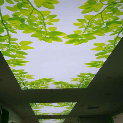 Flexible Width 1.8m-3.2m Stretch Ceiling Film For Shopping Mall Advertising